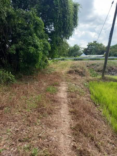 ที่ดินดงละคร นครนายก, นครนายก, ดงละคร, เมืองนครนายก, นครนายก, 4,800 ตร.ม., ที่ดิน ขาย, โดย The Best Property Agent รัตน์, 500397185 - DDproperty.com