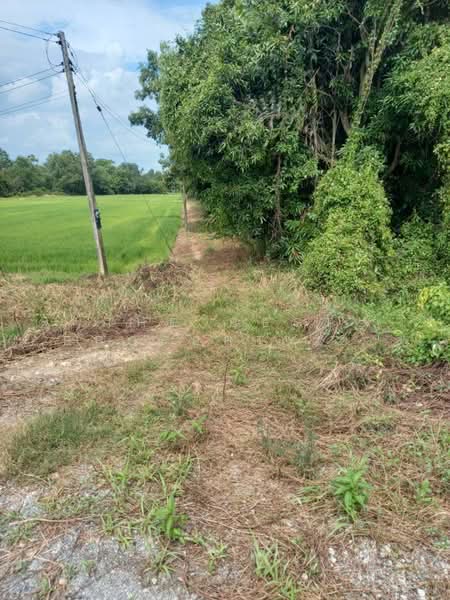 ที่ดินดงละคร นครนายก, Nakhon Nayok, Dong Lakhon, Muang Nakhon Nayok, Nakhon Nayok, , 4,800 sqm, Land For Sale, by The Best Property Agent รัตน์, 500397185 - DDproperty.com