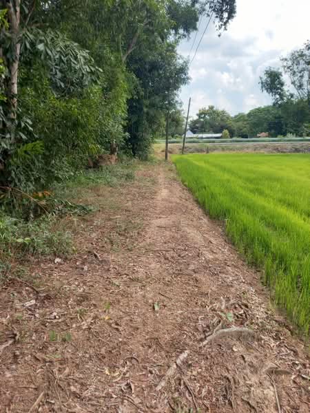 ที่ดินดงละคร นครนายก, นครนายก, ดงละคร, เมืองนครนายก, นครนายก, 4,800 ตร.ม., ที่ดิน ขาย, โดย The Best Property Agent รัตน์, 500397185 - DDproperty.com