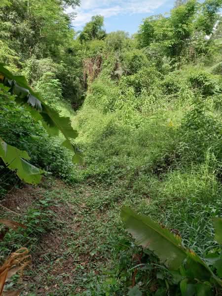 ที่ดินดงละคร นครนายก, Nakhon Nayok, Dong Lakhon, Muang Nakhon Nayok, Nakhon Nayok, , 4,800 sqm, Land For Sale, by The Best Property Agent รัตน์, 500397185 - DDproperty.com