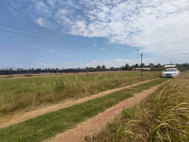 ที่ดินบางน้ำเปรี้ยว ฉะเชิงเทรา, Chachoengsao, Monthong, Bang Nam Prieo, Chachoengsao, , 304 sqm, Land For Sale, by The Best Property Agent ซายน์, 500397237 - DDproperty.com