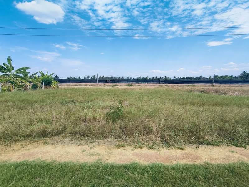 ที่ดินบางน้ำเปรี้ยว ฉะเชิงเทรา, Chachoengsao, Monthong, Bang Nam Prieo, Chachoengsao, , 304 sqm, Land For Sale, by The Best Property Agent ซายน์, 500397237 - DDproperty.com