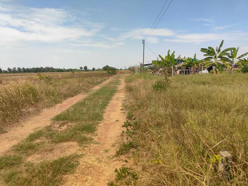 ที่ดินบางน้ำเปรี้ยว ฉะเชิงเทรา, Chachoengsao, Monthong, Bang Nam Prieo, Chachoengsao, , 304 sqm, Land For Sale, by The Best Property Agent ซายน์, 500397237 - DDproperty.com
