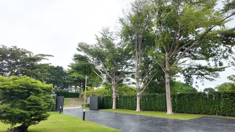 Palm Hills Golf Club and Residence : ปาล์ม ฮิลส์ กอล์ฟ คลับ แอนด์ เรสซิเดนซ์, เพชรบุรี, 1444 Phet Kasem Rd, ชะอำ, เพชรบุรี, 680 ตร.ม., วิลล่า ขาย, โดย Nichapa Nuntapun, 500397240 - DDproperty.com