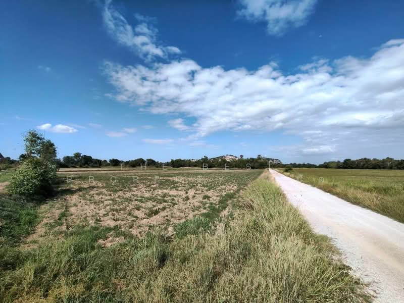 ที่ดินหนองกระโดน นครสวรรค์, Nakhon Sawan, Nong Kradon, Muang Nakhon Sawan, Nakhon Sawan, , 39,216 sqm, Land For Sale, by The Best Property ปัต, 500397260 - DDproperty.com