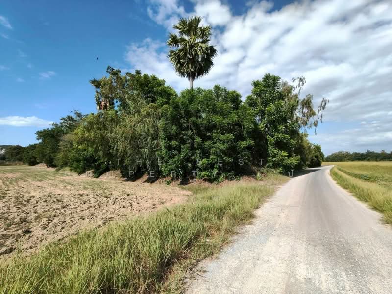 ที่ดินหนองกระโดน นครสวรรค์, Nakhon Sawan, Nong Kradon, Muang Nakhon Sawan, Nakhon Sawan, , 39,216 sqm, Land For Sale, by The Best Property ปัต, 500397260 - DDproperty.com