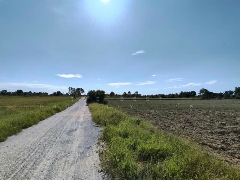 ที่ดินหนองกระโดน นครสวรรค์, Nakhon Sawan, Nong Kradon, Muang Nakhon Sawan, Nakhon Sawan, , 39,216 sqm, Land For Sale, by The Best Property ปัต, 500397260 - DDproperty.com