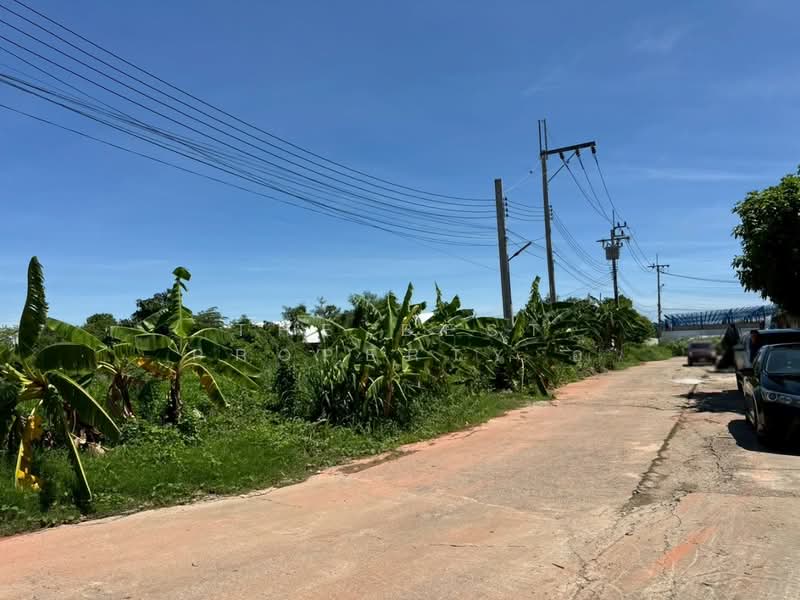 ที่ดินบางแค กรุงเทพมหานคร, Bangkok, Lak Song, Bang Khae, Bangkok, , 1,600 sqm, Land For Rent, by The Best Property อุ๊, 500397263 - DDproperty.com