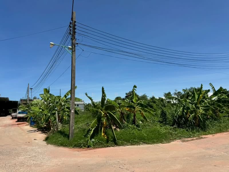 ที่ดินบางแค กรุงเทพมหานคร, Bangkok, Lak Song, Bang Khae, Bangkok, , 1,600 sqm, Land For Rent, by The Best Property อุ๊, 500397263 - DDproperty.com
