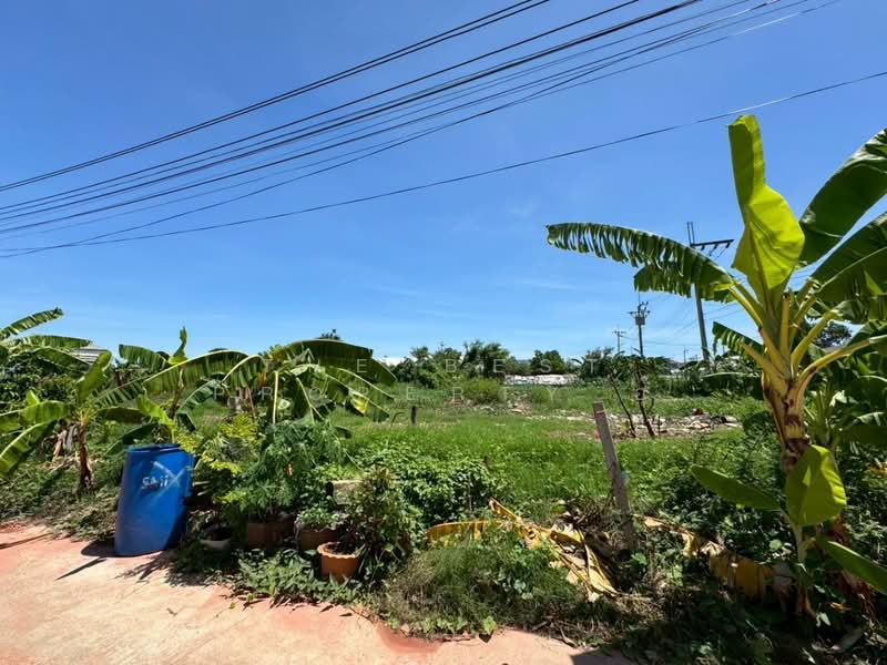 ที่ดินบางแค กรุงเทพมหานคร, Bangkok, Lak Song, Bang Khae, Bangkok, , 1,600 sqm, Land For Rent, by The Best Property อุ๊, 500397263 - DDproperty.com
