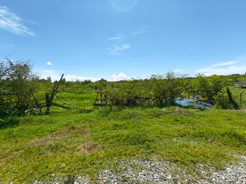 ที่ดินพระพรหม นครศรีธรรมราช, Nakhon Si Thammarat, Chang Sai, Phra Phrom, Nakhon Si Thammarat, , 37,584 sqm, Land For Sale, by The Best Property พริก, 500397269 - DDproperty.com
