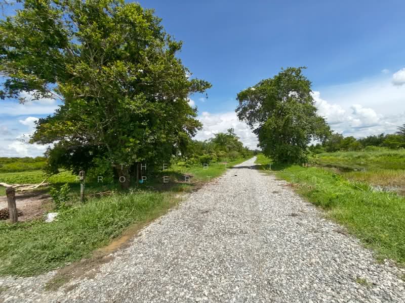 ที่ดินพระพรหม นครศรีธรรมราช, Nakhon Si Thammarat, Chang Sai, Phra Phrom, Nakhon Si Thammarat, , 37,584 sqm, Land For Sale, by The Best Property พริก, 500397269 - DDproperty.com