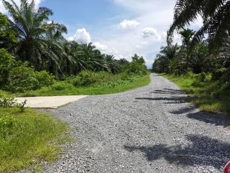 ที่ดินพระพรหม นครศรีธรรมราช, Nakhon Si Thammarat, Chang Sai, Phra Phrom, Nakhon Si Thammarat, , 37,584 sqm, Land For Sale, by The Best Property พริก, 500397269 - DDproperty.com