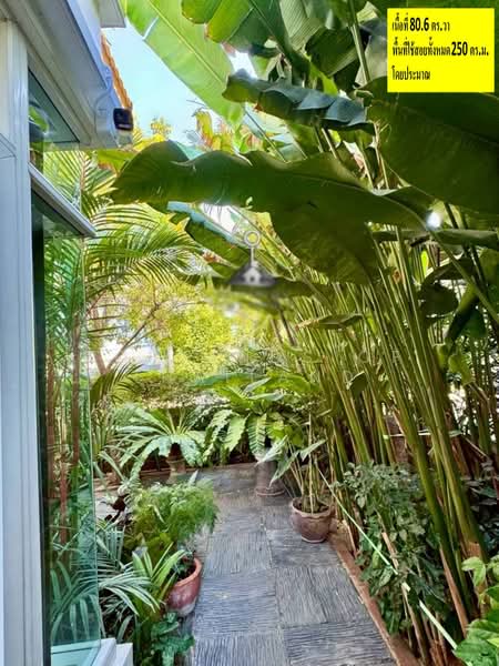 Laddarom Watcharapol-Rattanakosin, Bangkok, Vacharaphol Road, Khlong Tanon, Sai Mai, Bangkok, 3 Bedrooms, 250 sqm, Single Detached House For Sale, by TopLands of Thailand, 500397307 - DDproperty.com