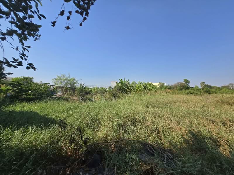ฺBangna Land Plot 2-2-15 rai, Samut Prakan, Bangphli Yai, Bang Plee, Samut Prakan, , 4,060 sqm, Land For Sale, by Khun Ja, 500397308 - DDproperty.com