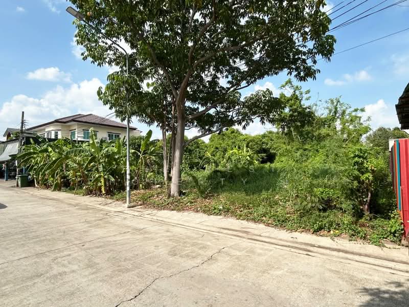 ที่ดินบางศรีเมือง นนทบุรี, นนทบุรี, บางศรีเมือง, เมืองนนทบุรี, นนทบุรี, 1,653 ตร.ม., ที่ดิน ขาย, โดย The Best Property นะ, 500397316 - DDproperty.com