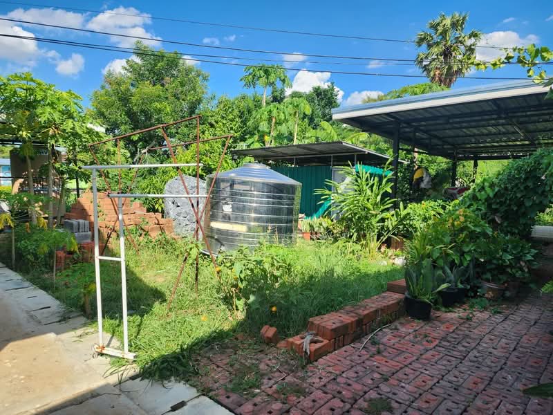 Land for sale with restaurant, Nakhon Ratchasima, Ma Roeng, Muang Nakhon Ratchasima, Nakhon Ratchasima, , 6,400 sqm, Business For Sale, by วิรณี, 500397393 - DDproperty.com