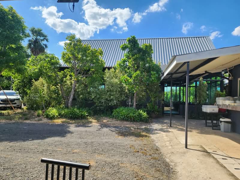 Land for sale with restaurant, Nakhon Ratchasima, Ma Roeng, Muang Nakhon Ratchasima, Nakhon Ratchasima, , 6,400 sqm, Business For Sale, by วิรณี, 500397393 - DDproperty.com