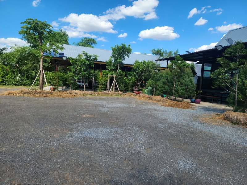 Land for sale with restaurant, Nakhon Ratchasima, Ma Roeng, Muang Nakhon Ratchasima, Nakhon Ratchasima, , 6,400 sqm, Business For Sale, by วิรณี, 500397393 - DDproperty.com