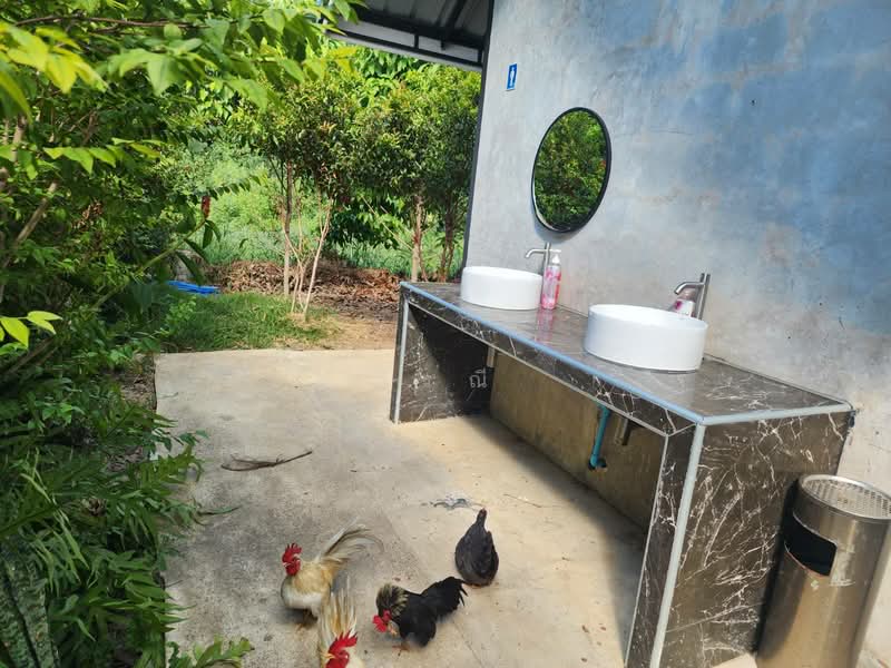 Land for sale with restaurant, Nakhon Ratchasima, Ma Roeng, Muang Nakhon Ratchasima, Nakhon Ratchasima, , 6,400 sqm, Business For Sale, by วิรณี, 500397393 - DDproperty.com