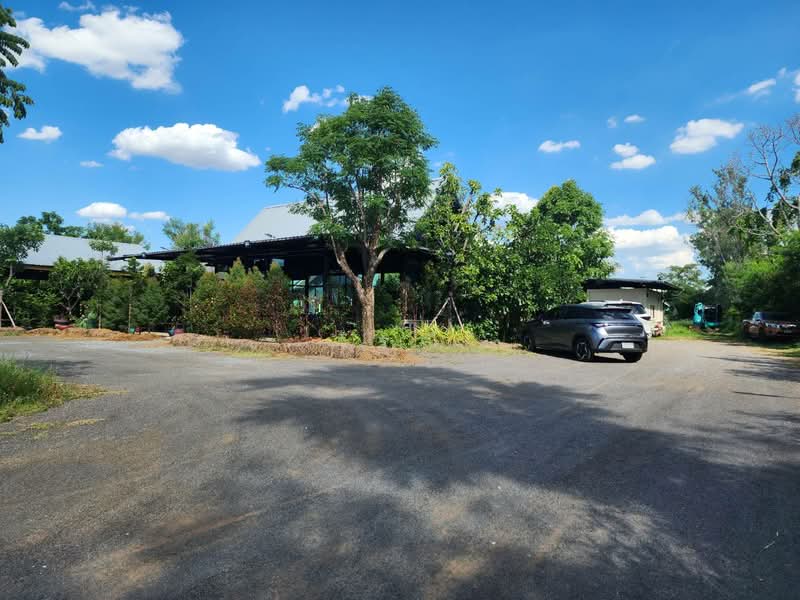 Land for sale with restaurant, Nakhon Ratchasima, Ma Roeng, Muang Nakhon Ratchasima, Nakhon Ratchasima, , 6,400 sqm, Business For Sale, by วิรณี, 500397393 - DDproperty.com
