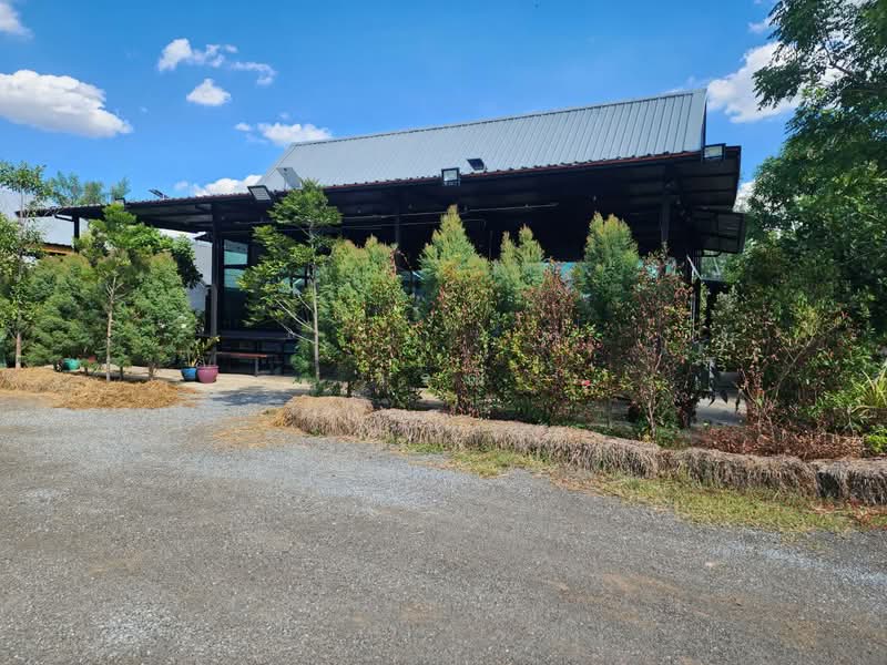 Land for sale with restaurant, Nakhon Ratchasima, Ma Roeng, Muang Nakhon Ratchasima, Nakhon Ratchasima, , 6,400 sqm, Business For Sale, by วิรณี, 500397393 - DDproperty.com