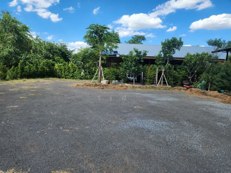 Land for sale with restaurant, Nakhon Ratchasima, Ma Roeng, Muang Nakhon Ratchasima, Nakhon Ratchasima, , 6,400 sqm, Business For Sale, by วิรณี, 500397393 - DDproperty.com