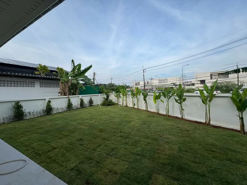 Single - storey house, 73 square wa, Ban Don, Thalang, Phuket, Phuket, ดอนจอมเฒ่า, Thep Krasattri, Thalang, Phuket, 3 Bedrooms, 200 sqm, Single Detached House For Sale, by Connex Property, 500397428 - DDproperty.com