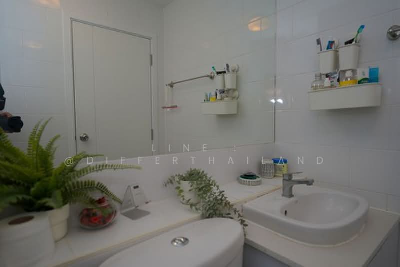Plum Condo Central Station (Phase 2) : พลัมคอนโด เซ็นทรัล สเตชั่น (เฟส 2), นนทบุรี, ถนนรัตนาธิเบศร์, เสาธงหิน, บางใหญ่, นนทบุรี, 26 ตร.ม., คอนโด ให้เช่า, โดย LINE : @differthailand, 500397513 - DDproperty.com