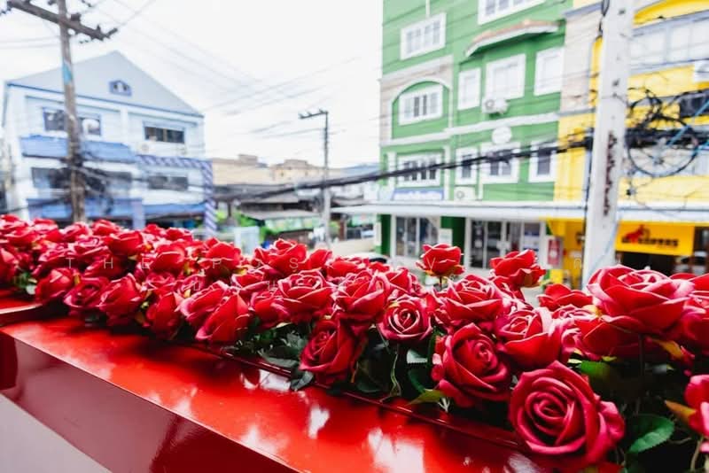 Townhome in the Jed Yod Area, Near Nimman, Chiang Mai, Chang Phuak, Muang Chiang Mai, Chiang Mai, 3 Bedrooms, 136 sqm, Townhouse For Rent, by The Positive ที่ดิน บ้าน คอนโด, 500397539 - DDproperty.com