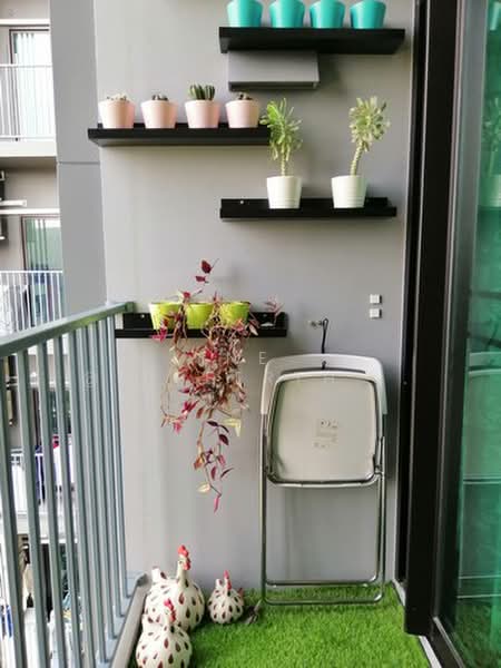Plum Condo Central Station (Phase 1), Nonthaburi, Village No. 6 188 Sao Thong Hin, Sao Thong Hin, Bang Yai, Nonthaburi, 1 Bedroom, 24 sqm, Condo For Rent, by LINE : @differthailand, 500397544 - DDproperty.com