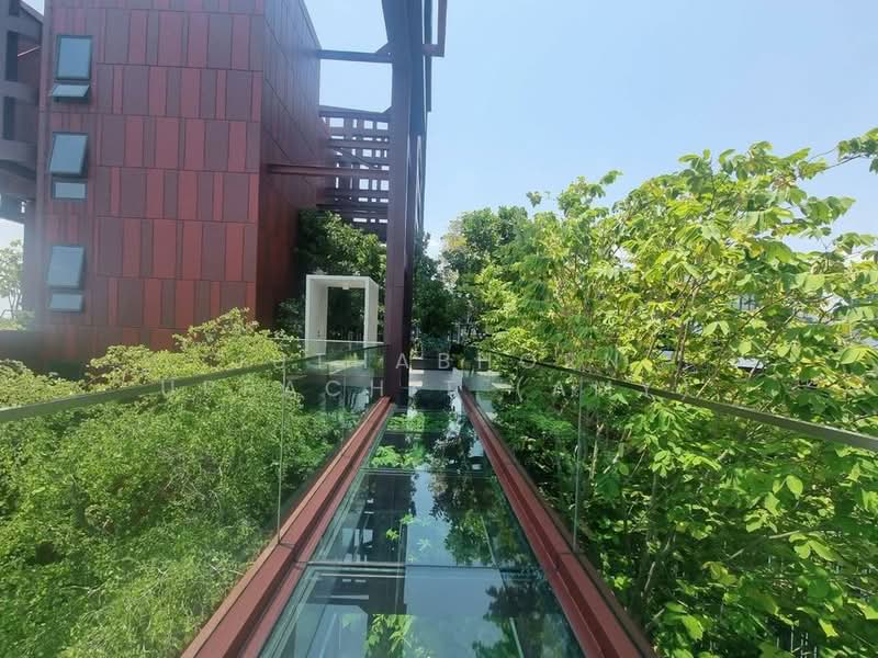 Life Asoke Hype, Bangkok, 339 Chaturathit Rd, Makkasan, Ratchathewi, Bangkok, 2 Bedrooms, 36 sqm, Condo For Rent, by Juthabhorn Uppachit (Amy), 500397572 - DDproperty.com