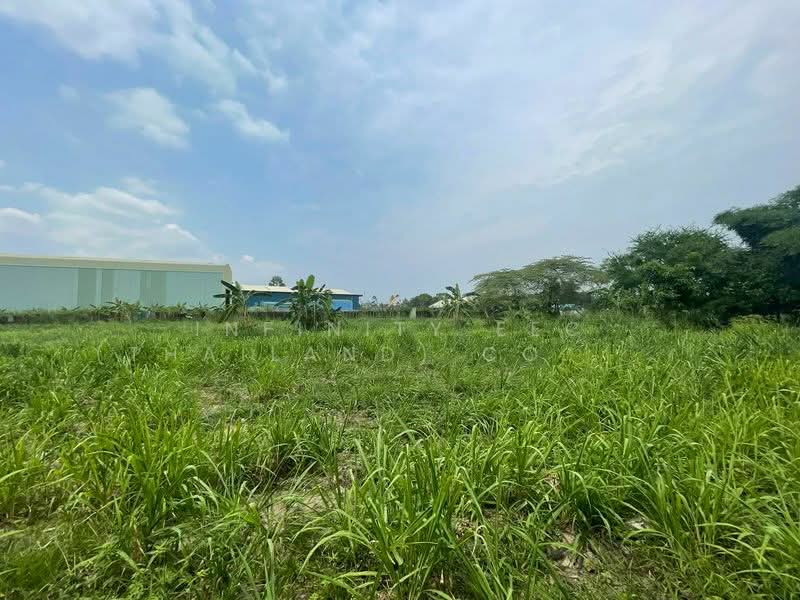 หนองขาม, ชลบุรี, หนองขาม, ศรีราชา, ชลบุรี, 16,000 ตร.ม., ที่ดิน ขาย, โดย Infinity EEC (Thailand) Co., Ltd., 500397613 - DDproperty.com