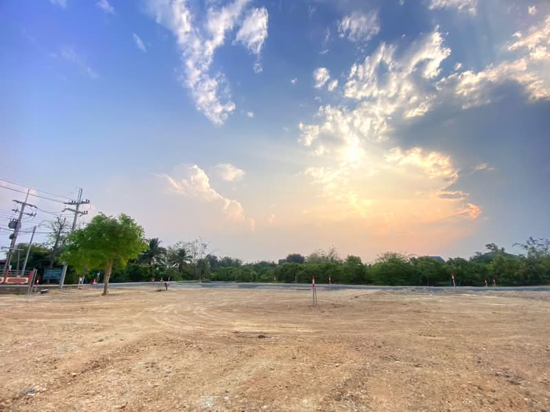 Land in Chiang Mai (Mae Wang), Chiang Mai, , Thung Ruang Thong, Mae Wang, Chiang Mai, , 236 sqm, Land For Sale, by นพเก้า ทุ่งขจี, 500397620 - DDproperty.com