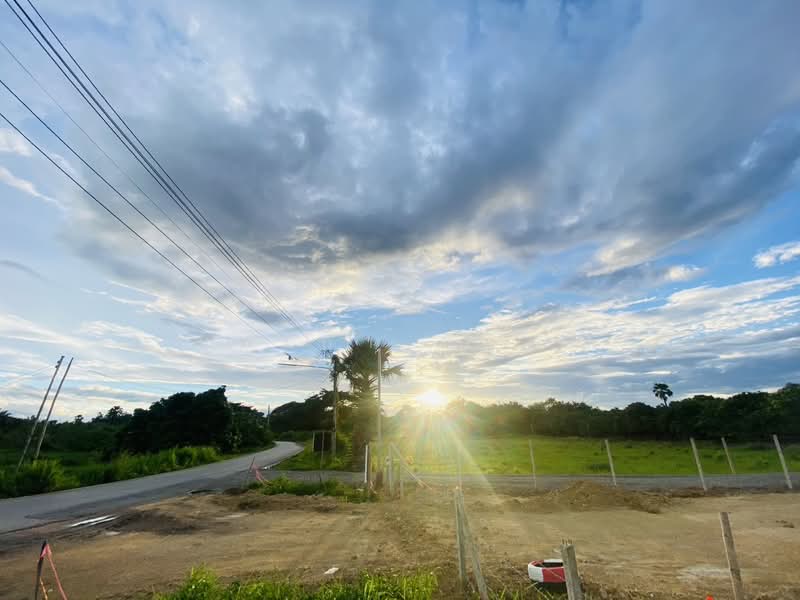 100-square-wah land plot in San Pa Tong (ideal for building a house), Chiang Mai, , Ban Klang, San Pa Tong, Chiang Mai, , 400 sqm, Land For Sale, by นพเก้า ทุ่งขจี, 500397625 - DDproperty.com