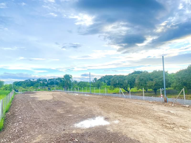 ที่ดิน 100 ตรว. (ทำเลค้าขายและสร้างบ้านอยู่), เชียงใหม่, , บ้านกลาง, สันป่าตอง, เชียงใหม่, 400 ตร.ม., ที่ดิน ขาย, โดย นพเก้า ทุ่งขจี, 500397625 - DDproperty.com