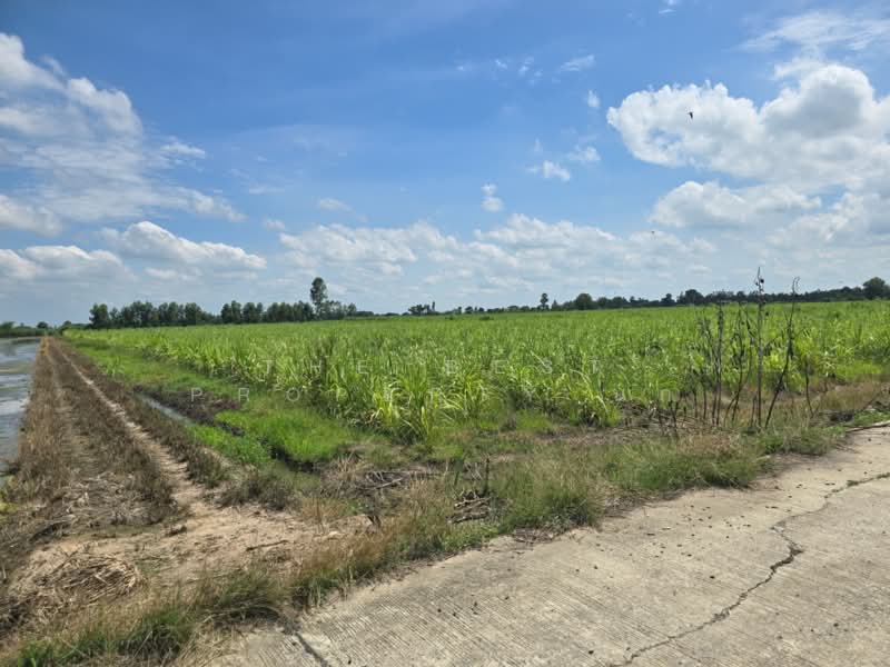 ที่ดินแสวงหา อ่างทอง, Ang Thong, Wang Nam Yen, Sawaeng Ha, Ang Thong, , 33,448 sqm, Land For Sale, by The Best Property นก, 500397634 - DDproperty.com