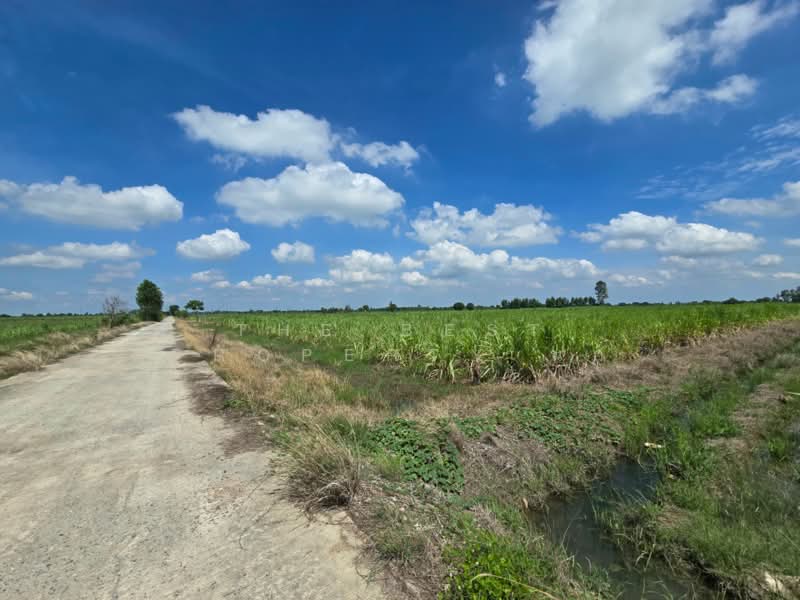 ที่ดินแสวงหา อ่างทอง, Ang Thong, Wang Nam Yen, Sawaeng Ha, Ang Thong, , 33,448 sqm, Land For Sale, by The Best Property นก, 500397634 - DDproperty.com