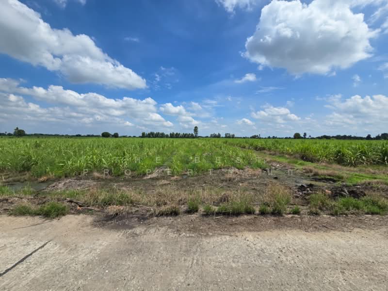 ที่ดินแสวงหา อ่างทอง, Ang Thong, Wang Nam Yen, Sawaeng Ha, Ang Thong, , 33,448 sqm, Land For Sale, by The Best Property นก, 500397634 - DDproperty.com