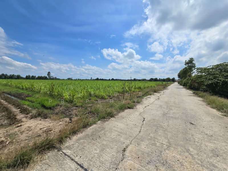 ที่ดินแสวงหา อ่างทอง, Ang Thong, Wang Nam Yen, Sawaeng Ha, Ang Thong, , 33,448 sqm, Land For Sale, by The Best Property นก, 500397634 - DDproperty.com