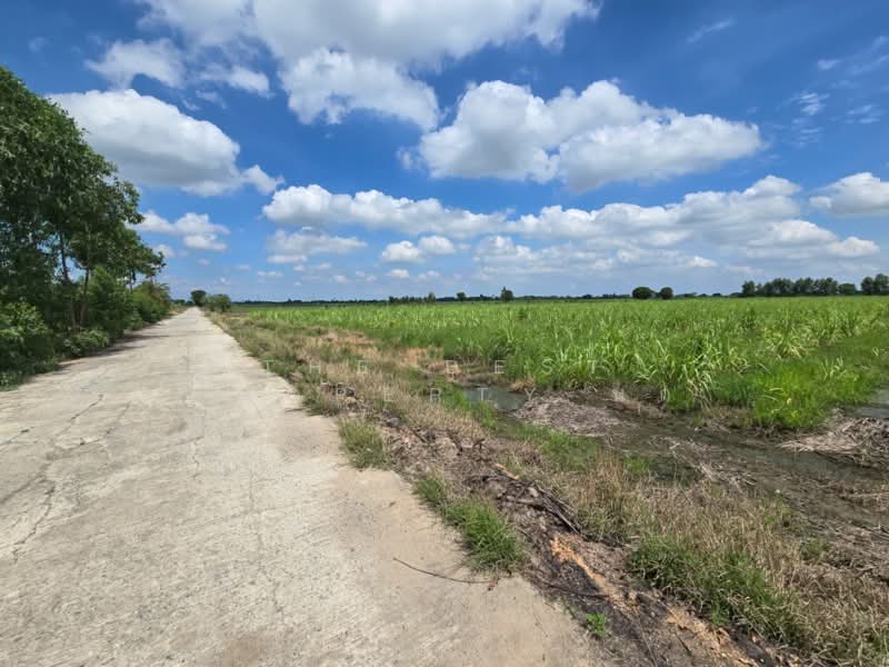 ที่ดินแสวงหา อ่างทอง, Ang Thong, Wang Nam Yen, Sawaeng Ha, Ang Thong, , 33,448 sqm, Land For Sale, by The Best Property นก, 500397634 - DDproperty.com