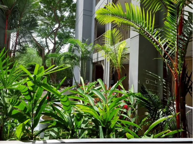 Carapace Hua Hin : คาราเพซ หัวหิน, ประจวบคีรีขันธ์, หัวหิน 101, หนองแก, หัวหิน, ประจวบคีรีขันธ์, 38 ตร.ม., คอนโด ขาย, โดย Kanokkarn Brendle, 500397641 - DDproperty.com