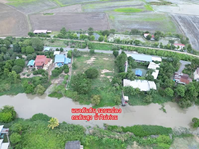 2 ไร่ ติดแม่น้ำลพบุรี อยุธยา บ้านแพรก ถมแล้ว คันดินกั้นอย่างดี, พระนครศรีอยุธยา, สำพะเนียง, บ้านแพรก, พระนครศรีอยุธยา, 3,200 ตร.ม., ที่ดิน ขาย, โดย นายมานพ วุฒฒเจริญ, 500397713 - DDproperty.com