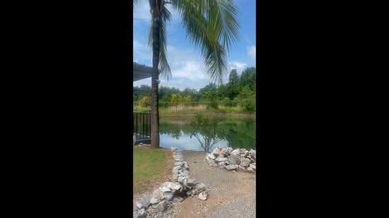 6.5 Rai Investment Compound | 7 Houses | 13 Bedrooms | Hang Dong, Chiang Mai, เชียงใหม่, น้ำแพร่, หางดง, เชียงใหม่, 3,000 ตร.ม., วิลล่า ขาย, โดย Runchana Ball, 500397720 - DDproperty.com