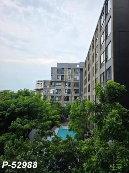 IKON Sukhumvit 77, Bangkok, 182 Sukhumvit Road 77, Suan Luang, Bangkok, 1 Bedroom, 32 sqm, Condo For Rent, by Susira Prueksawun, 500397725 - DDproperty.com