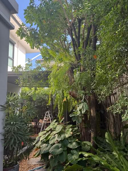 Zerene Petchkasem-Phutthamonthon Sai 3, Bangkok, 101 Phutthamonthon Sai 3 Road, Nong Kang Plu, Nong Khaem, Bangkok, 4 Bedrooms, 200 sqm, Single Detached House For Sale, by Saowaluk Anupong, 500397728 - DDproperty.com