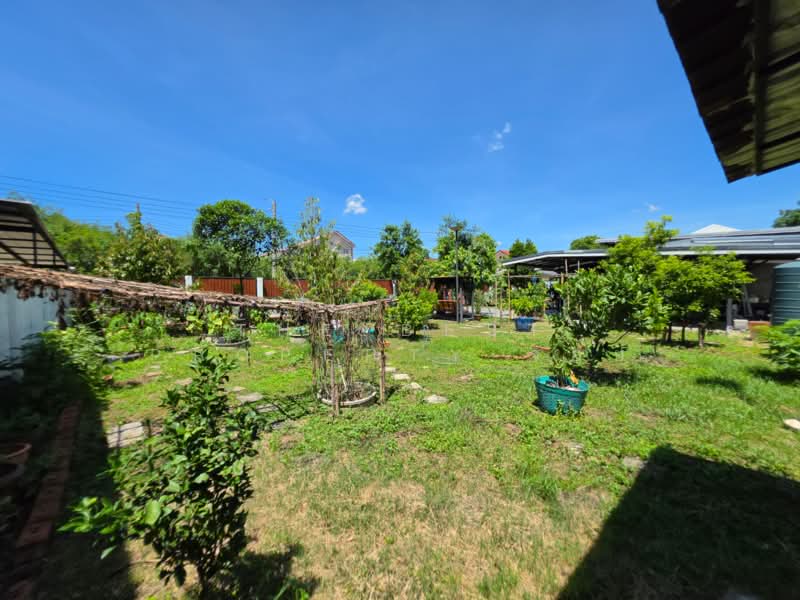 Baan Lanthog Tiwanon-Pak Kret 27 : บ้านลานทอง ติวานนท์-ปากเกร็ด 27, นนทบุรี, ถนนติวานนท์, บางพูด, ปากเกร็ด, นนทบุรี, 80 ตร.ม., บ้านเดี่ยว ขาย, โดย The Best Property จอย, 500397773 - DDproperty.com