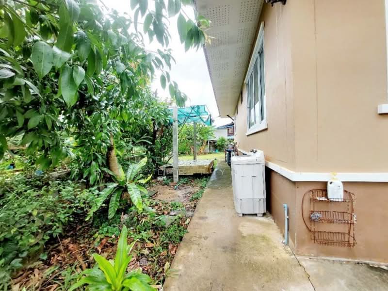 บ้านเดี่ยวโพนพิสัย หนองคาย, หนองคาย, จุมพล, โพนพิสัย, หนองคาย, 100 ตร.ม., บ้านเดี่ยว ขาย, โดย The Best Property เป้า, 500397792 - DDproperty.com