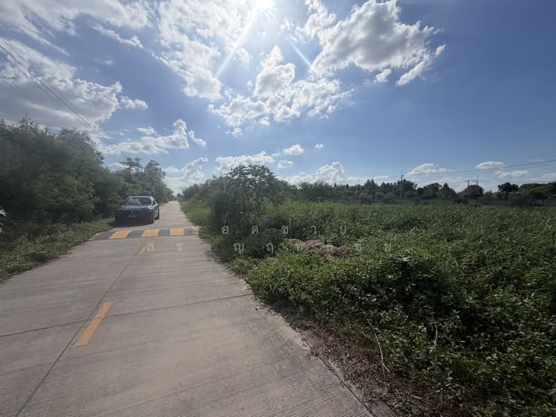 ขายที่ดิน 1-3-90 ไร่ ลาดสวาย ลำลูกกา @15,000 บาท/ตร.ว, Pathum Thani, ลำลูกกา, Lat Sawai, Lam Luk Ka, Pathum Thani, , 3,160 sqm, Land For Sale, by ยอดชาย สราญฤทธิชัย, 500397832 - DDproperty.com