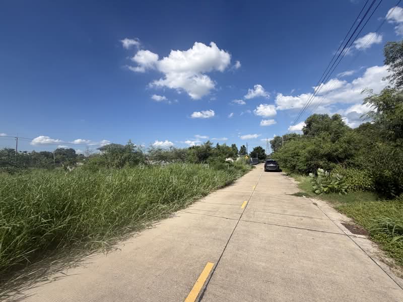 ขายที่ดิน 1-3-90 ไร่ ลาดสวาย ลำลูกกา @15,000 บาท/ตร.ว, Pathum Thani, ลำลูกกา, Lat Sawai, Lam Luk Ka, Pathum Thani, , 3,160 sqm, Land For Sale, by ยอดชาย สราญฤทธิชัย, 500397832 - DDproperty.com